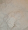 99% κρυστάλλινη BMK σκόνη CAS 71368-80-4 Bromazolam σκονών άσπρη